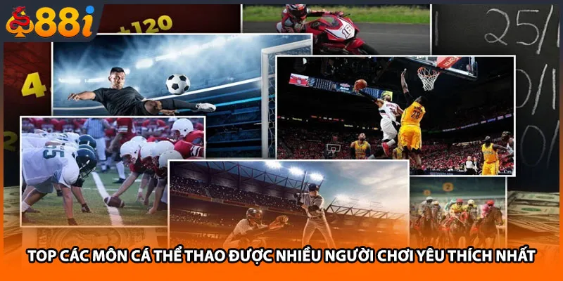 TOP các môn cá thể thao được nhiều người chơi yêu thích nhất